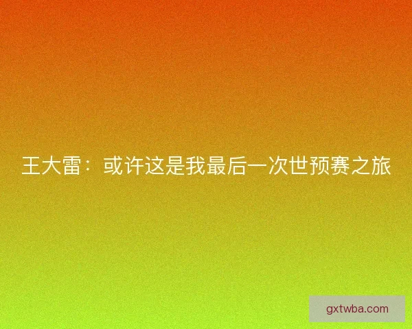 王大雷：或许这是我最后一次世预赛之旅
