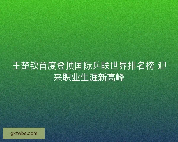 王楚钦首度登顶国际乒联世界排名榜 迎来职业生涯新高峰