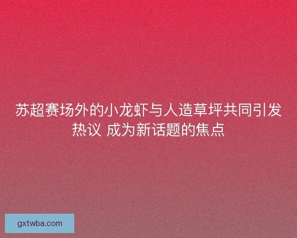 苏超赛场外的小龙虾与人造草坪共同引发热议 成为新话题的焦点